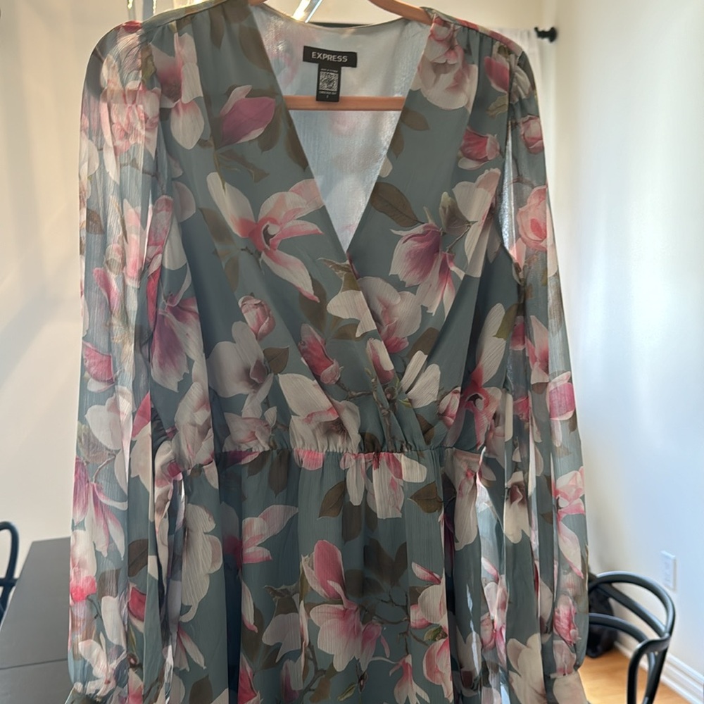 Express dress - Picture 4 of 4